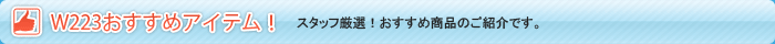 スリーポイントW223用おすすめアイテム！